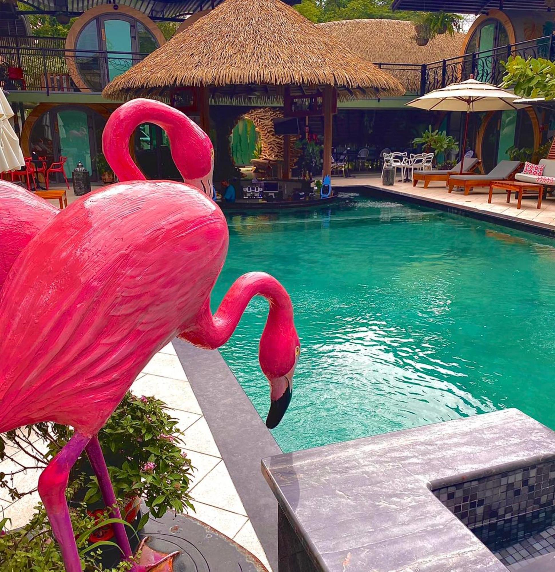 Saranda Boutique Hotel Puerto Viejo de Talamanca エクステリア 写真